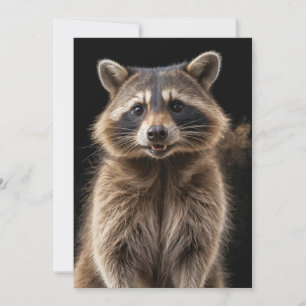 Raccoon Wild Animal Elegant Dramatic Mist Portrait Announcement