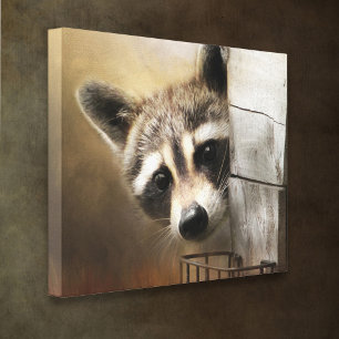 Raccoon Wildlife Canvas Print