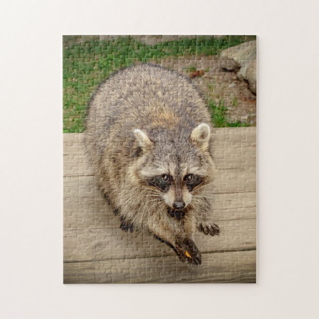 Raccoon with a chip jigsaw puzzle (Vertical)