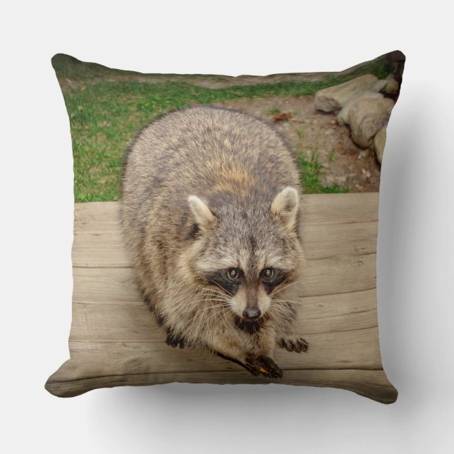 Raccoon with a chip throw pillow (Front)