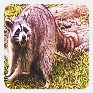 Raccoon With A Fleur De Lis Sticker