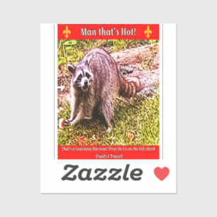 Raccoon With A Fleur De Lis Sticker