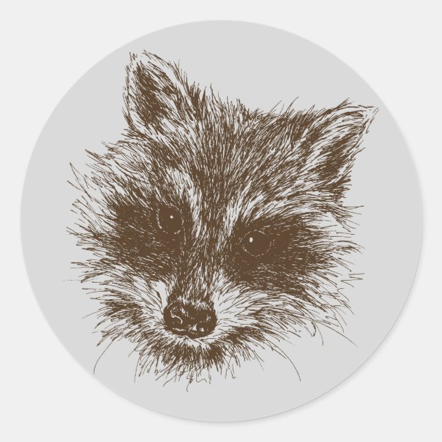 Raccoon Woodland Creature Drawing Classic Round Sticker (Front)