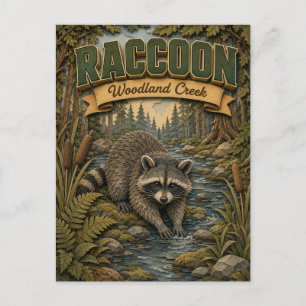 Raccoon Woodland Creek POPCUT Postcard
