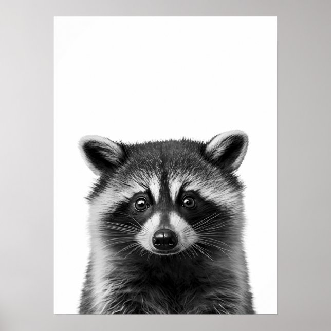 Raccoon Woodland Modern Portrait black white   Poster (Front)