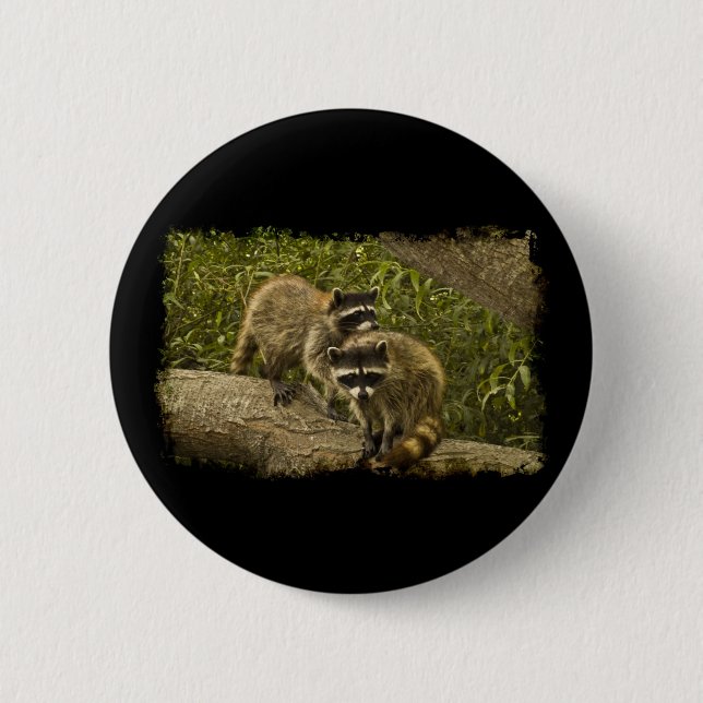 Raccoons 2 Inch Round Button (Front)