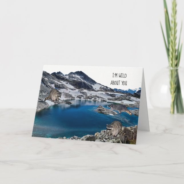 Raccoons in the Wild Birthday Card (Front)