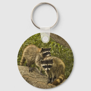 Raccoons Keychain