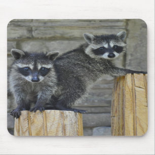 Raccoons - Mousepad - #1032