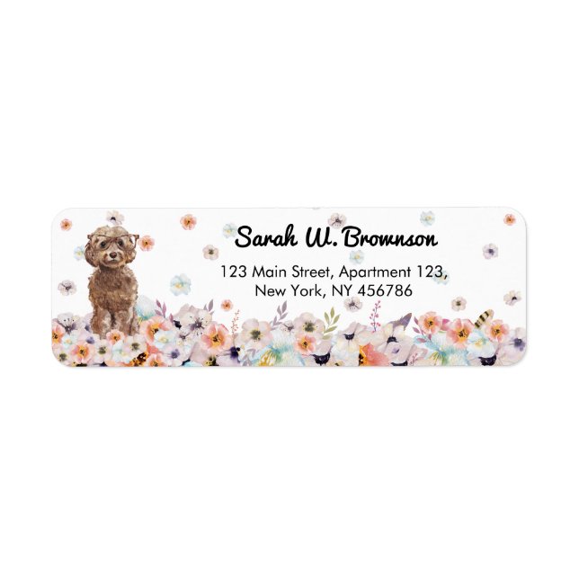 Race de chien Cockapoo (Devant)