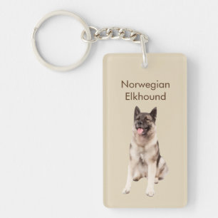 Race de chien d'Elkhound de Norvégien