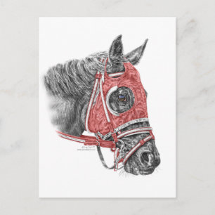 Race Horse Portrait Silks Postcard