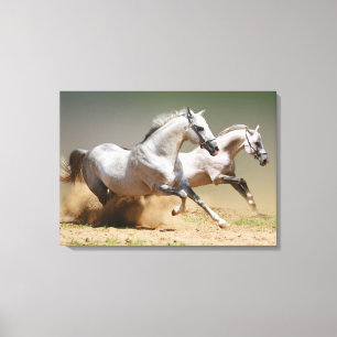 Race the Wind Horses Canvas Print