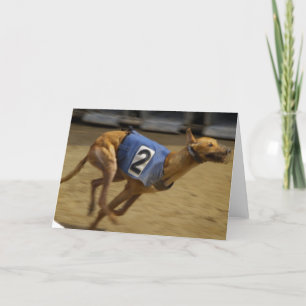 Racing Greyhound Greeting Card