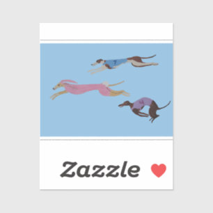 Racing Greyhounds with lead dog in Bunny suit