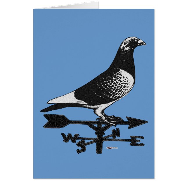 Racing Homer : Weathervane Homer (Devant)