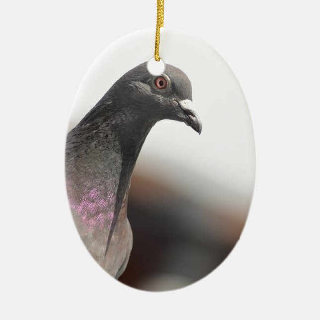 Racing pigeon ceramic ornament (Front)