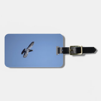 Racing Pigeon in Flight Luggage Tag