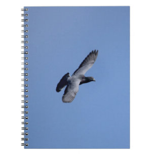 Racing Pigeon in Flight Notebook
