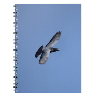 Racing Pigeon in Flight Notebook