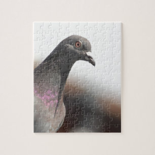 Racing pigeon jigsaw puzzle