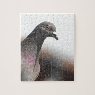 Racing pigeon jigsaw puzzle