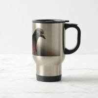 Racing pigeon