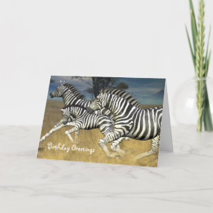 Racing Stripes — Zebra Birthday Card