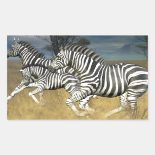 Racing Stripes - Zebra Sticker
