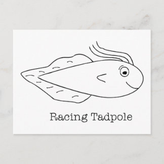 Racing Tadpole Postcard