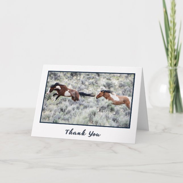 Racing Wild Stallions Photo Thank You Card (Front)