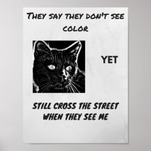 Racism superstition black cat quote poster