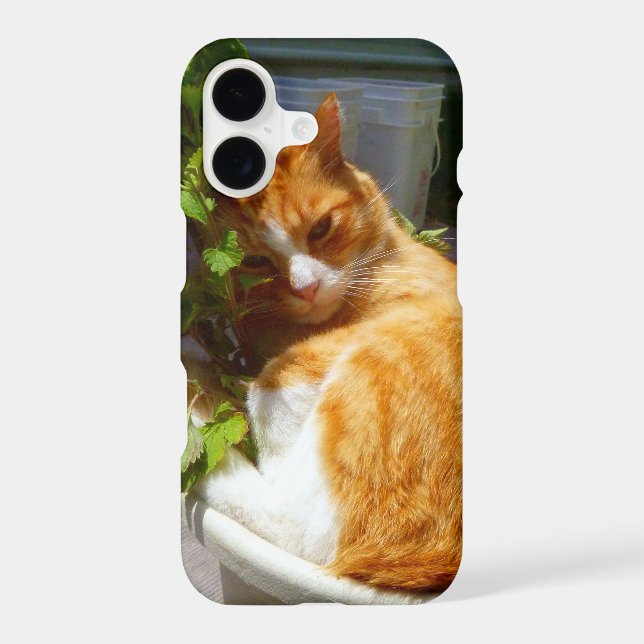 Racleur dans un pot Case-Mate coque samsung galaxy (Verso)