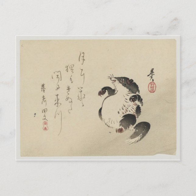 Racoon-dog (Tanuki) by Shibata Zeshin Postcard (Front)