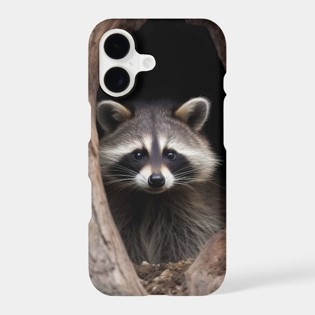 Racoon in Tree Cave  (Back)