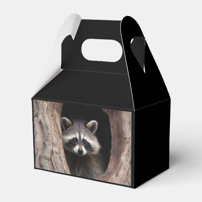 Racoon in Tree Cave  Favor Box (Front Side)