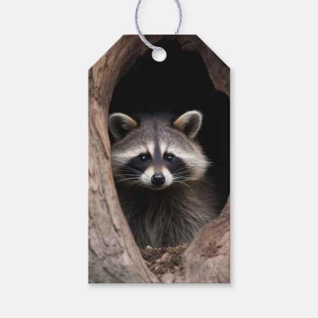 Racoon in Tree Cave  Gift Tags (Front)