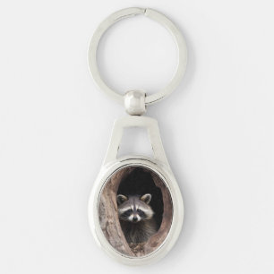 Racoon in Tree Cave Keychain