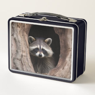 Racoon in Tree Cave  Metal Lunch Box