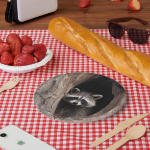 Racoon in Tree Cave  Paper Plate