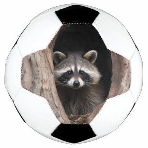Racoon in Tree Cave Soccer Ball