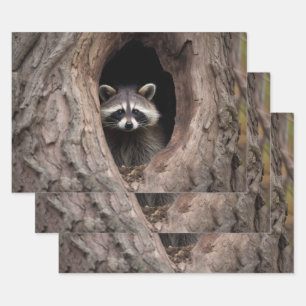 Racoon in Tree Cave  Wrapping Paper Sheet