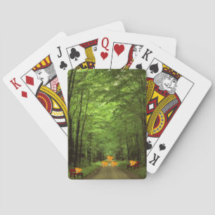 Racoon Playing Card Deck