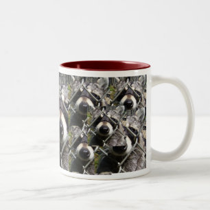 Racoon trouble Two-Tone coffee mug