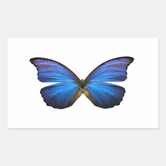 Radiant Blue Butterfly Sticker