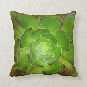 Radiant green succulent plant macro photography throw pillow