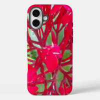 Radiant Life | Beautiful Blood Flower Milkweed Art