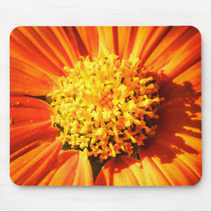 Radiant Orange Flower Macro Mouse Pad Photo