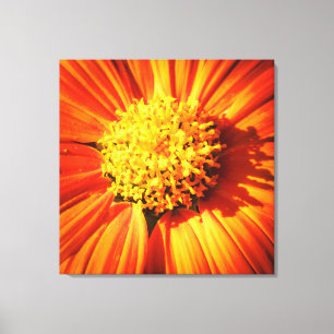 Radiant Orange Flower Macro Wall Art Print Photo