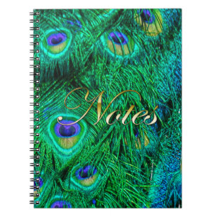 Radiant Peacock Feathers Photo Design Notebook